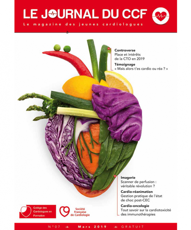 SFC - Journal N°7 du CCF
