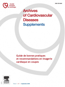 SFC - Guide imagerie en coupe 2010